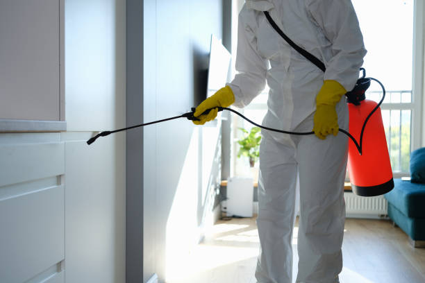 Best Emergency Mold Removal  in Amesti, CA