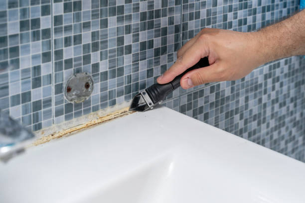 Home Mold Removal in Amesti, CA