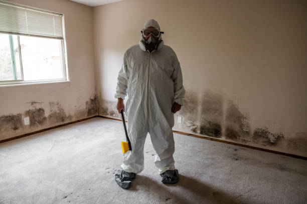 Best Mold Removal and Inspection  in Amesti, CA